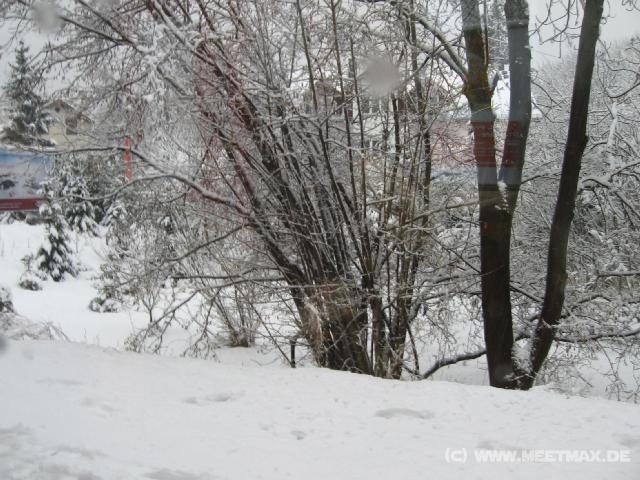 5526_Schneelandschaft