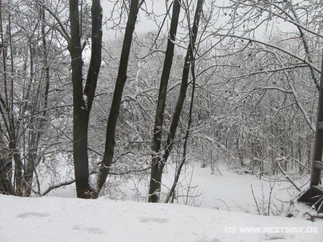 5527_Schneelandschaft