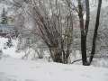 5526_Schneelandschaft