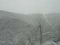 5534_Schneelandschaft
