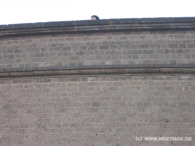 6537_Kopf