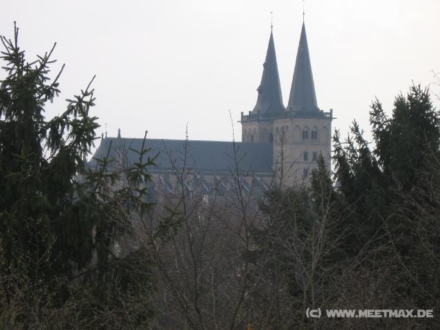 6541_Dom