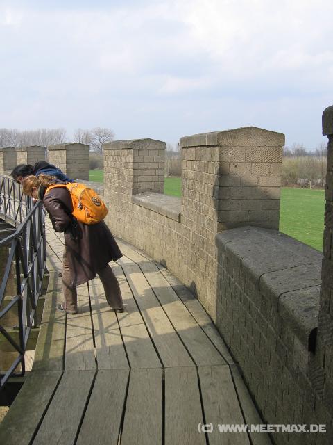 6550_Auf_der_Mauer_auf_der_Lauer