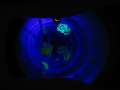 7903_Im_Atomium