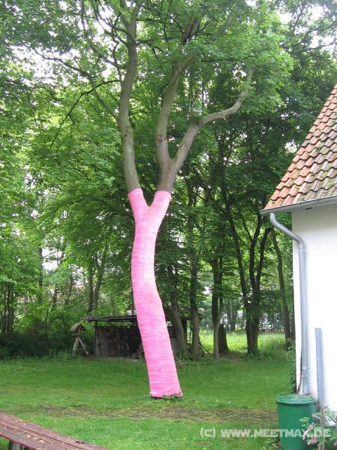 9137_Baumpulli