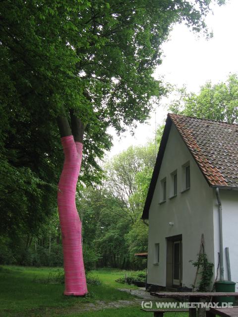 9138_Baumpulli