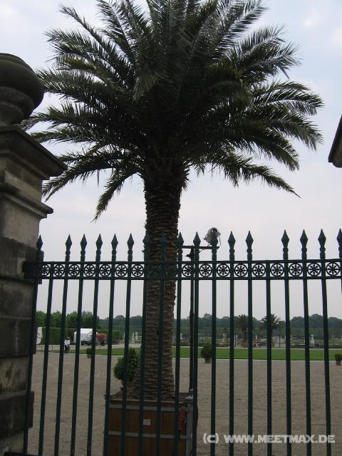 9153_Herrenh�user_Palmengarten