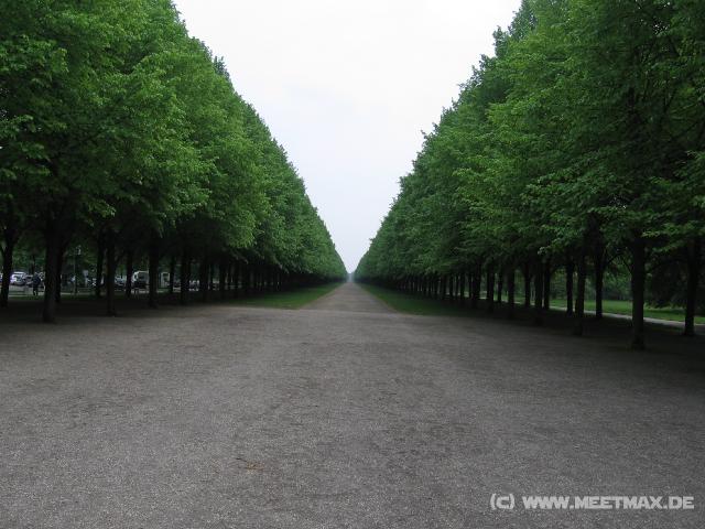 9158_Allee
