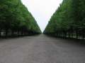 9158_Allee