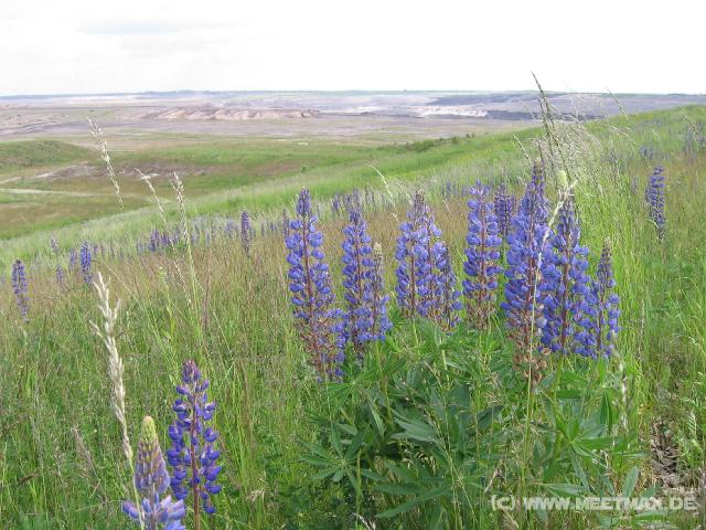 0486_Natur