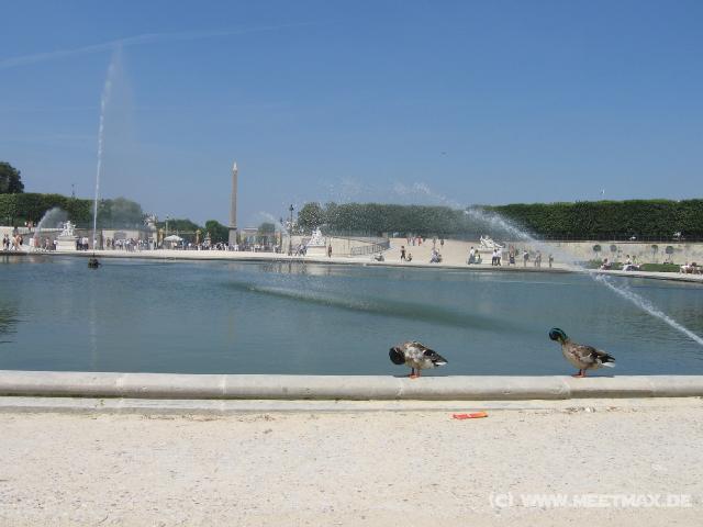 1431_Tuileries