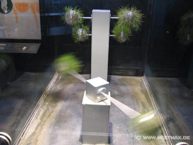 1705_Gravitations-Wachstums-Experiment