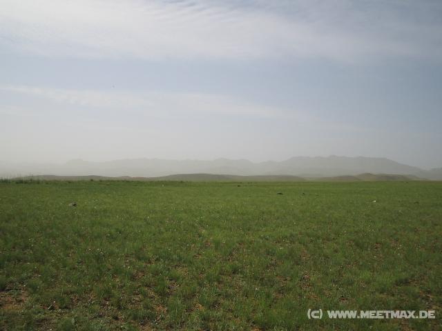 0017_Steppe