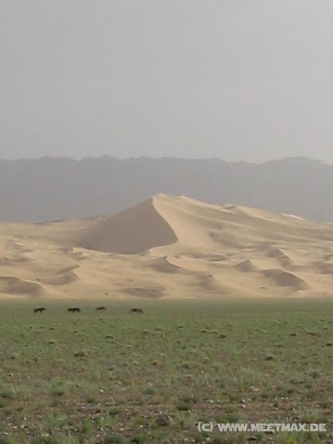 0796_Khangorin_Els