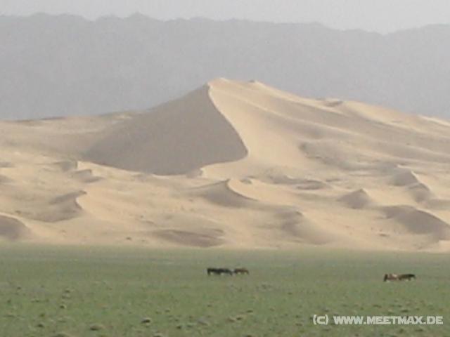 0800_Khangorin_Els