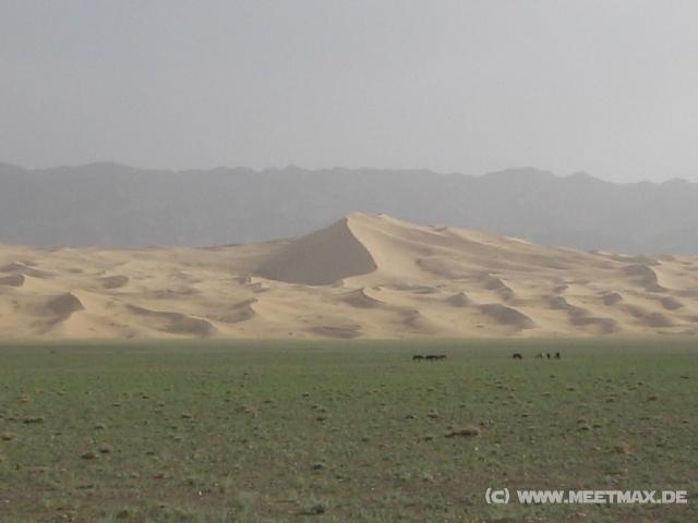 0801_Khangorin_Els