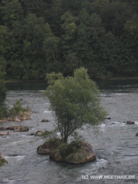 6309_Insel
