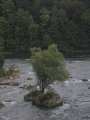 6309_Insel