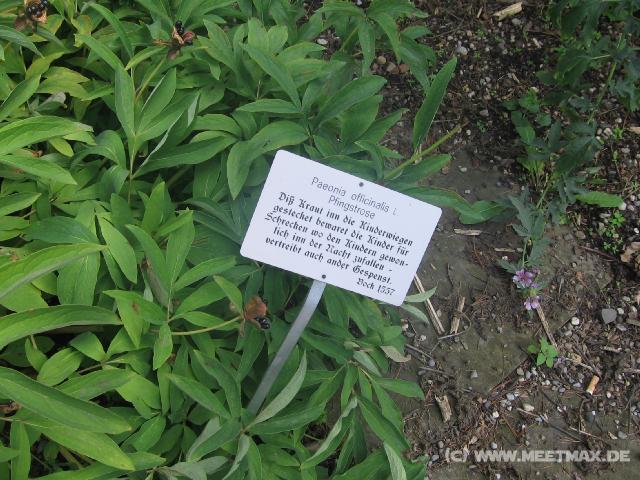 6343_Alter_Botanischer_Garten