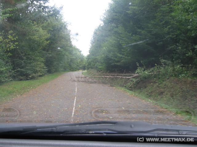 8811_Baumschranke