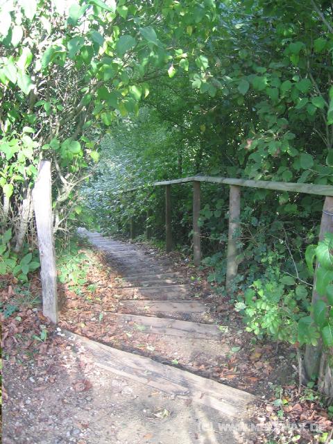 8833_Treppe