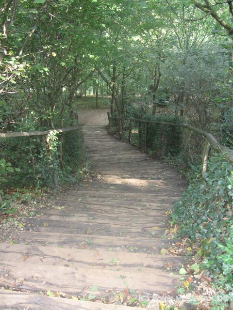 8834_Treppe