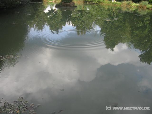 8836_Im_Wasser