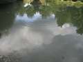 8836_Im_Wasser