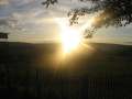 8849_Sonnenuntergang