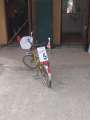8927_Point5-Bike