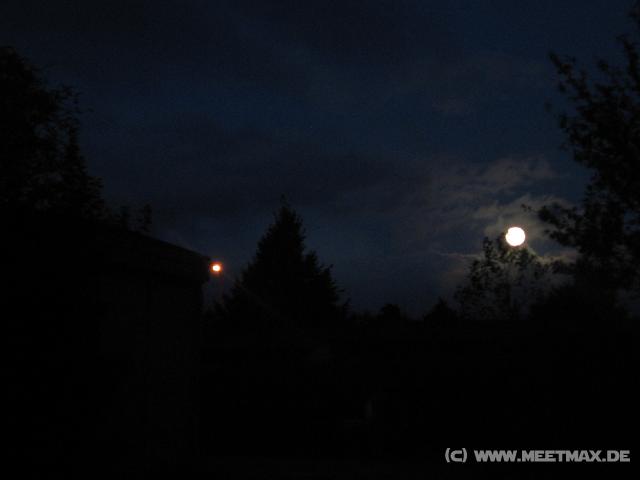 8951_Morgenmond