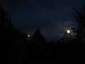 8951_Morgenmond