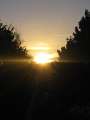 8983_Sonnenuntergang