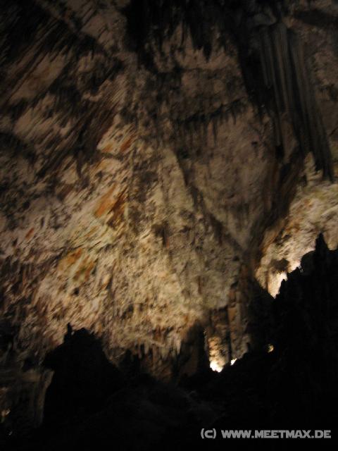 9825_Postojnska_Jama