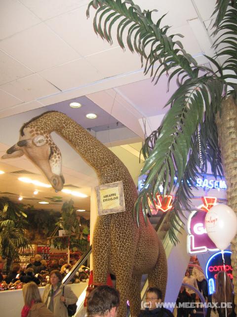 0229_Giraffe