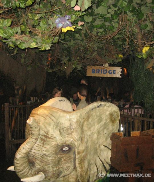 0241_Rainforest_Cafe