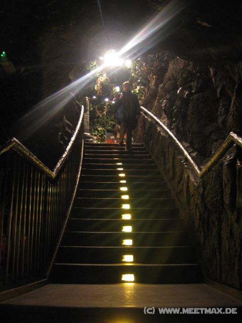 0242_Rainforest_Cafe