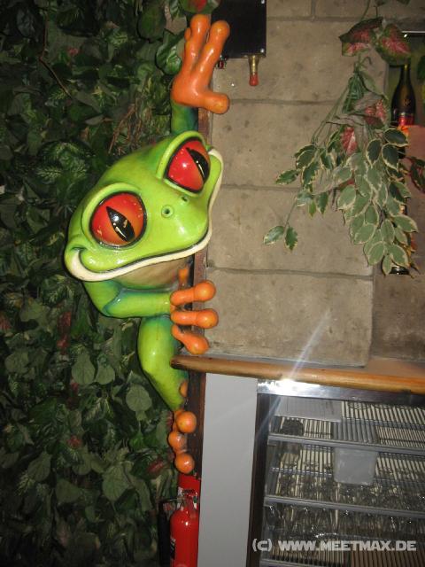 0243_Rainforest_Cafe