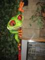 0243_Rainforest_Cafe