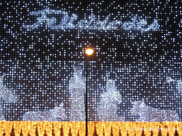 0891_Weihnachtsbeleuchtung
