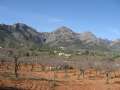 0811_Berge