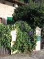 0849_Blumen