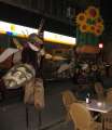 0897_Wespen