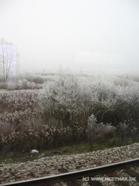 1174_Landscape