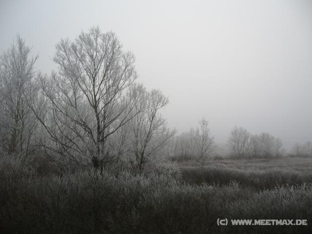 1174_Snowy_landscape