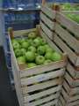 1161_Taize_apples