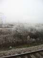 1174_Landscape