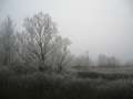 1174_Snowy_landscape