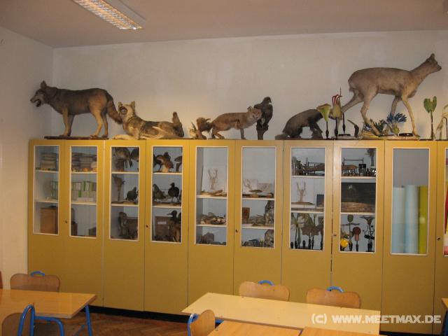 1214_Wildlife_classroom