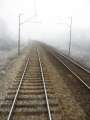 1284_Tracks